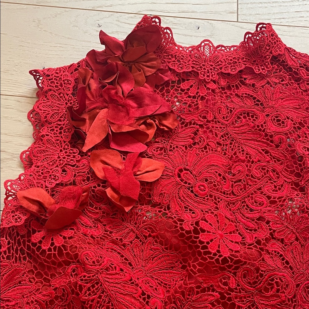 Sleeveless Red Lace Mini Dress with Floral 3D Accents - Picture 3 of 4